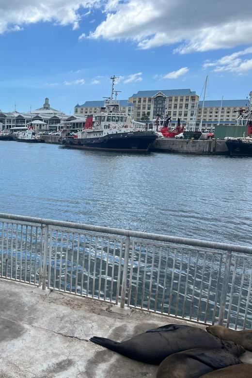 Cape Town: Robben Island Guided History Sightseeing Day Tour - Key Points