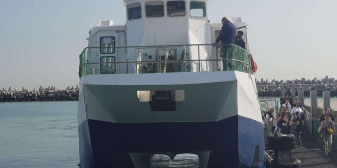 Cape Town: Robben Island Museum Tour With Ferry Ride - Guided Tour by Former Prisoners