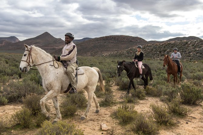 Cape Town Safari Big 5 Experience All Inclusive - Pricing and Cancellation Policy