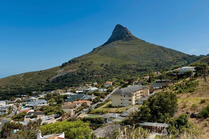 Cape Town Sea Kayaking Adventure Launching From V&A Waterfront - Key Points