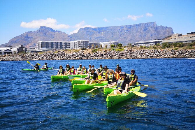 Cape Town Sea Kayaking Adventure Launching From V&A Waterfront - Wildlife Sightings Opportunities