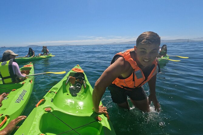 Cape Town Sea Kayaking Adventure Launching From V&A Waterfront - Safety and Accessibility Details