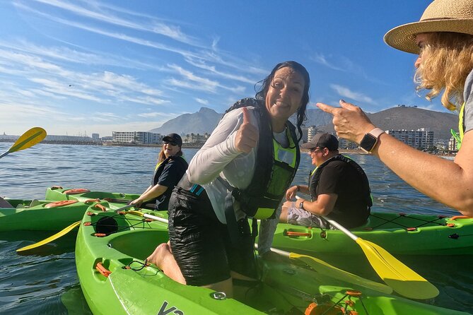 Cape Town Sea Kayaking Adventure Launching From V&A Waterfront - Customer Feedback and Ratings