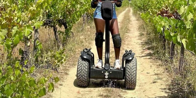 CAPE TOWN: SEGWAY FUN RIDE IN PAARL BATTLE BUNKER WITH WILDX - Safety and Equipment