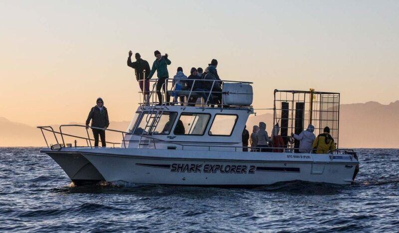 Cape Town: Shark Cage Diving With Food and Drinks - Refreshments and Sustenance