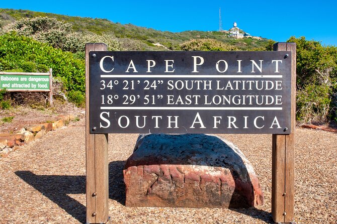 Cape Town Shore Tour: Table Mountain, Penguin & Cape Point - Customer Reviews and Ratings