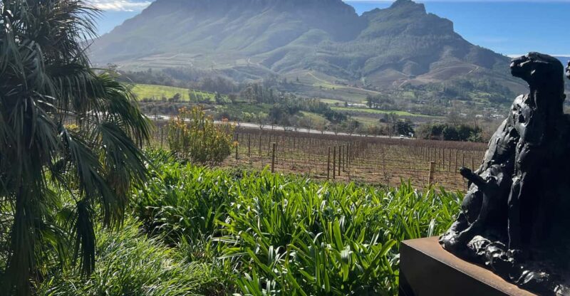 Cape Town: Stellenbosch & Franschhoek Private Wine Tour - Itinerary Highlights