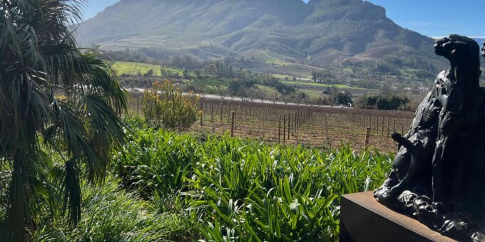 Cape Town: Stellenbosch & Franschhoek Private Wine Tour - Important Information
