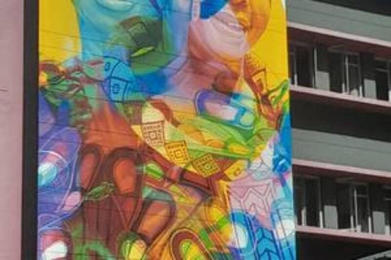 Cape Town Street Art Walking Tour - Whats Included