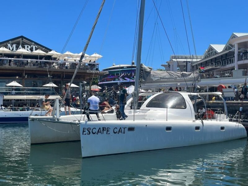 Cape Town: Sunset Cruise by Catamaran to Table Bay - Highlights