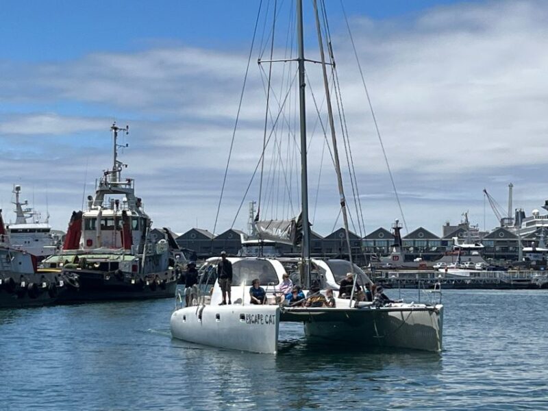 Cape Town: Sunset Cruise by Catamaran to Table Bay - Duration and Price