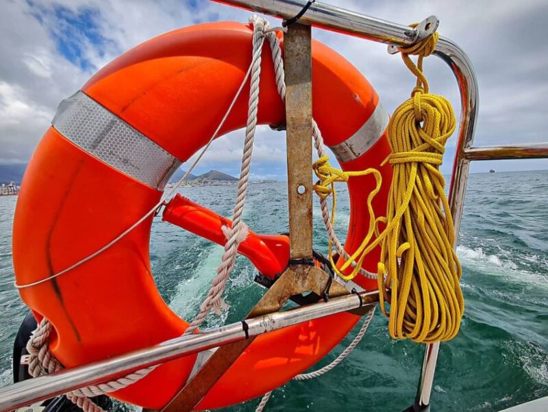 Cape Town: Table Bay Cruise by Catamaran - Key Points