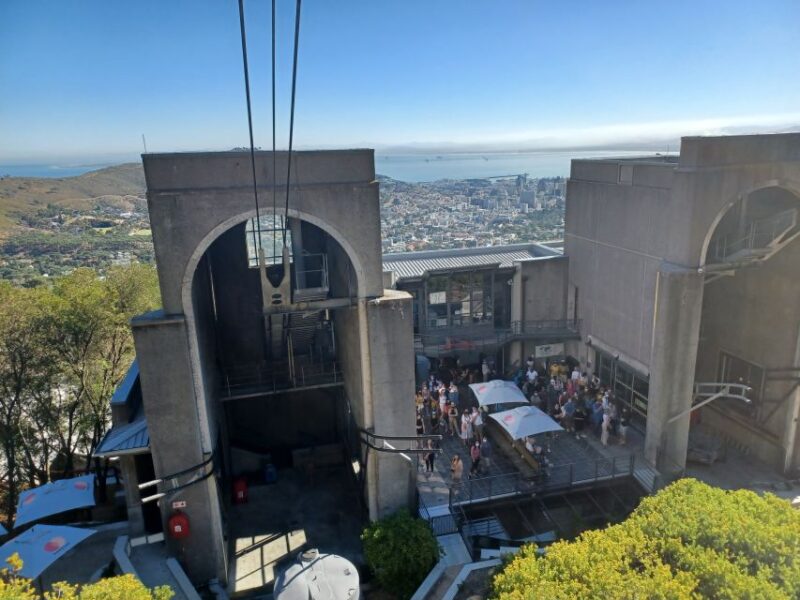 Cape Town: Table Mountain and Penguins Private Guided Tour - Key Points