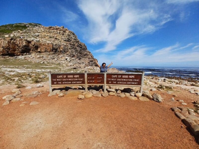 Cape Town: Table Mountain and Penguins Private Guided Tour - Tour Highlights
