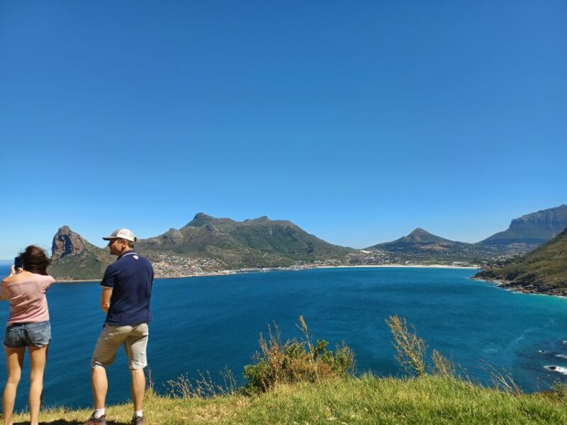 Cape Town: Table Mountain and Penguins Private Guided Tour - Inclusions