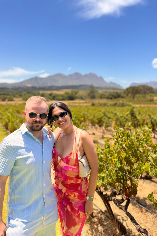 Cape Town: Table Mountain Cableway & Spier Wine Tasting Tour - Key Points