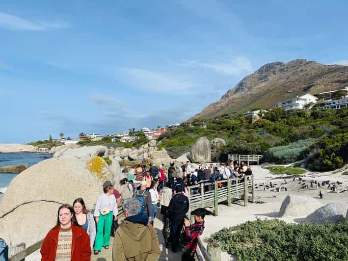 Cape Town: Table Mountain, Cape Point, Penguins Group Tour - Itinerary Highlights
