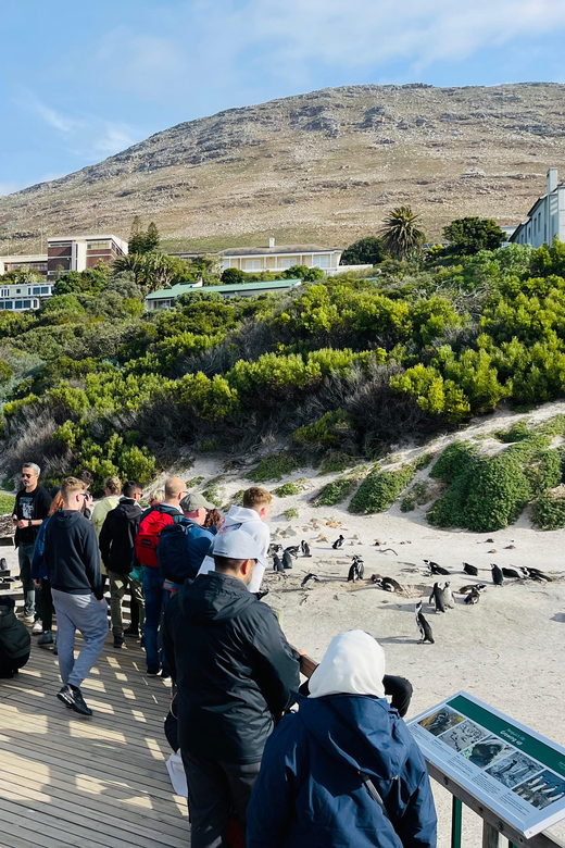 Cape Town: Table Mountain, Cape Point, Penguins Group Tour - Included and Fees