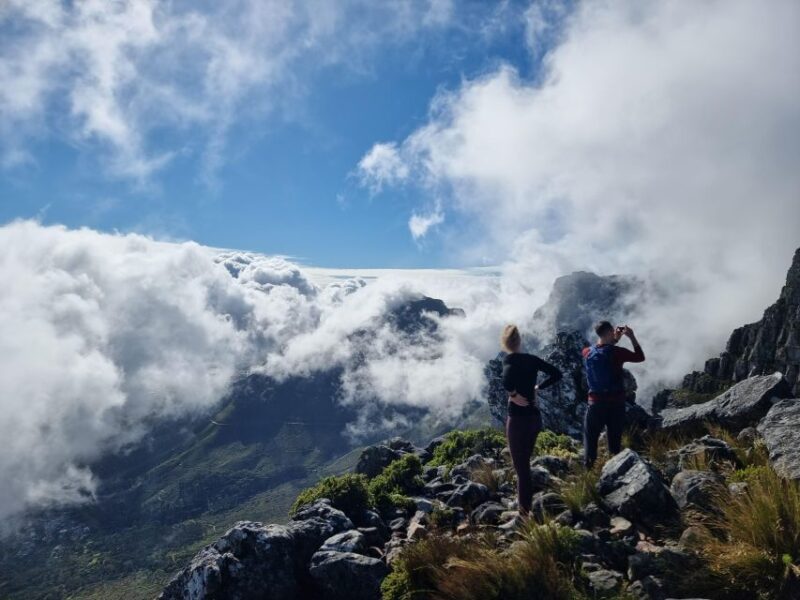 Cape Town: Table Mountain Hike With an Expert Guide - Capturing the Best Viewpoints