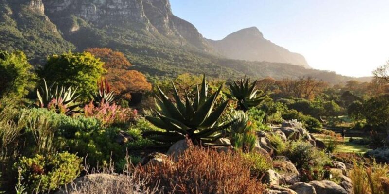 Cape Town: Table Mountain, Kirstenbosch, and Wine Tour - Key Points