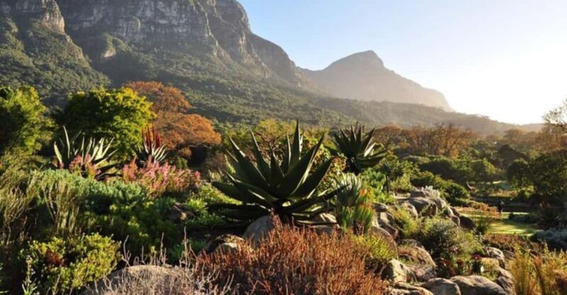 Cape Town: Table Mountain, Kirstenbosch, and Wine Tour - Tour Overview