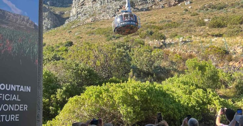 Cape Town: Table Mountain, Penguins & Cape Point Group Tour - Experience Details