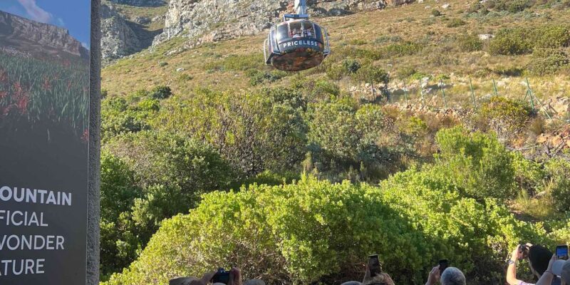Cape Town: Table Mountain, Penguins & Cape Point Group Tour - Preparation and Important Information