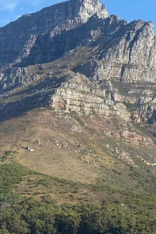Cape Town: Table Mountain, Zipline, & Wine Tasting Day Tour - Itinerary Highlights