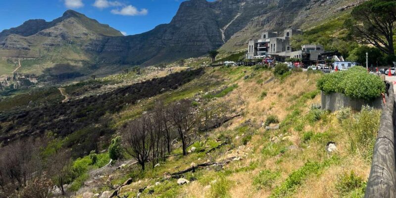 Cape Town: Table Mountain, Zipline, & Wine Tasting Day Tour - Important Participant Information
