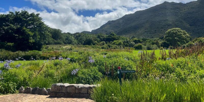 Cape Town: Table Mountain, Zipline, & Wine Tasting Day Tour - Free Cancellation and Pay Later