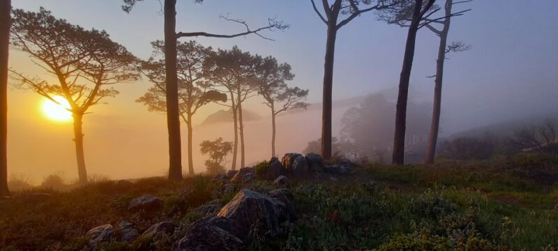 Cape Town: Trail Run Lions Head and Signal Hill Morning - Key Points
