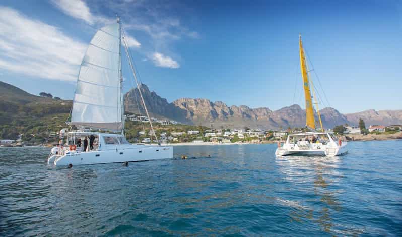 Cape Town: V&A Waterfront Champagne Cruise - Key Points