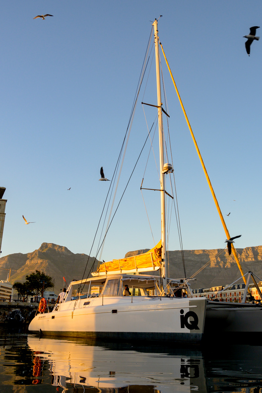 Cape Town: V&A Waterfront Champagne Cruise - Experience Highlights