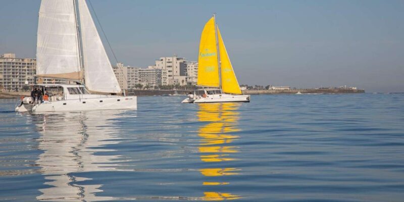 Cape Town: V&A Waterfront Champagne Cruise - Cruise Details