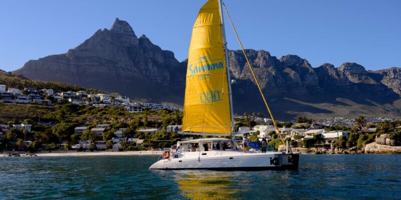 Cape Town: V&A Waterfront Champagne Cruise - Amenities and Inclusions