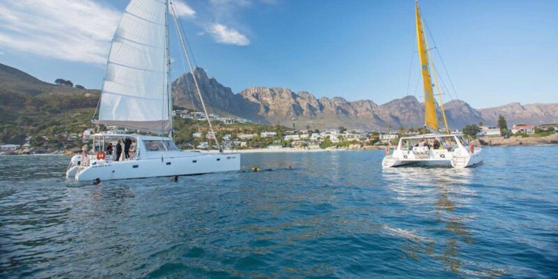 Cape Town: V&A Waterfront Champagne Cruise - Customer Feedback