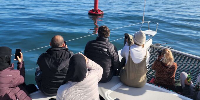 Cape Town: V&A Waterfront Champagne Cruise - Meeting Point and Departure
