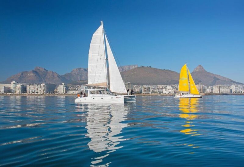 Cape Town: V&A Waterfront Champagne Cruise - Spotting Wildlife