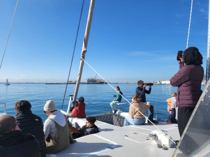 Cape Town: V&A Waterfront Champagne Cruise - Duration and Schedule