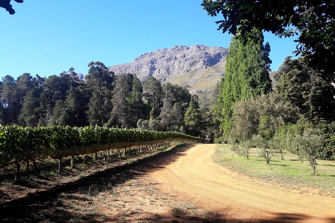 Cape Town Winelands Stellenbosch Private Afternoon Tour - Vintage Store Visit