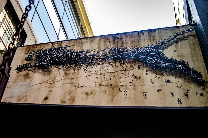 Cape Town Woodstock Street Art Walking Tour - Tour Details