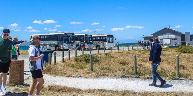 Cape Town:Robben Island Guided Tour, Skip the Ticketing Line - Meeting Point