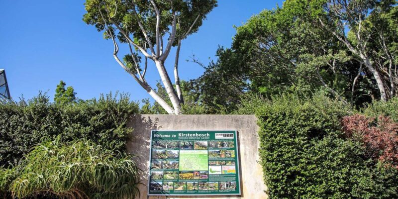 Cape Town:Robben Island ,Kirstenbosch Garden & Wine Tasting - Included Features