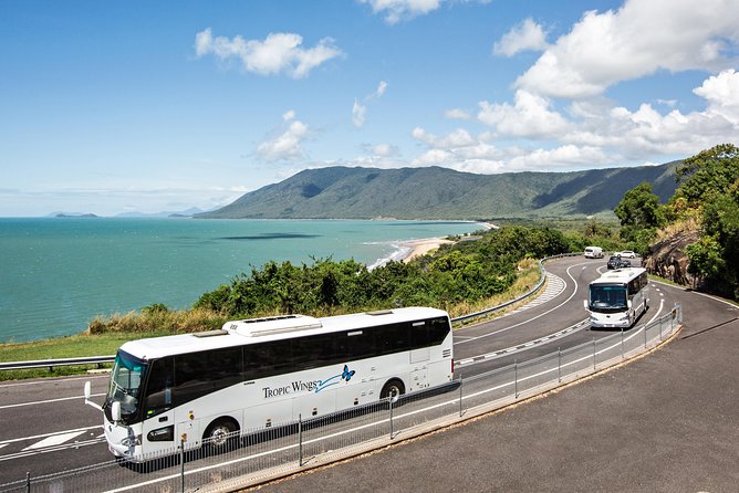 Cape Tribulation & Daintree Wilderness (TCT) - Additional Information