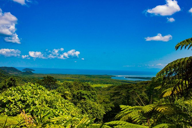 Cape Tribulation Day Tour - Guided Rainforest Walk
