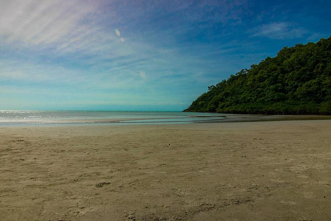Cape Tribulation Day Tour - Picnic Lunch and Swim