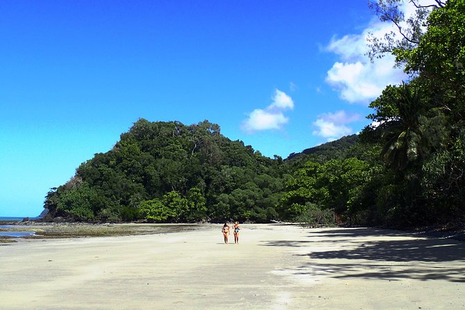 Cape Tribulation Day Tour From Cairns - Rainforest Meets Reef