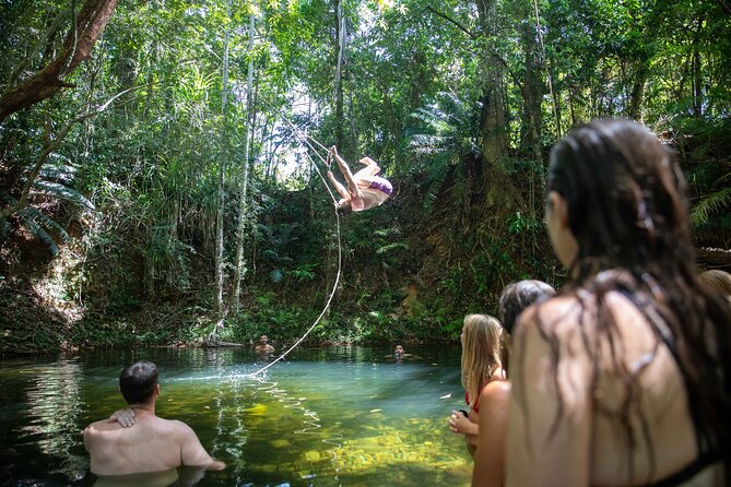 Cape Tribulation Day Tour From Cairns - Spotting Wildlife