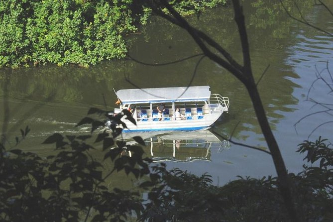Cape Tribulation Day Tour From Cairns - Pristine Beaches