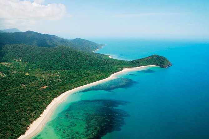 Cape Tribulation, Mossman Gorge and Daintree Rainforest Day Tour - Tour Experiences and Feedback